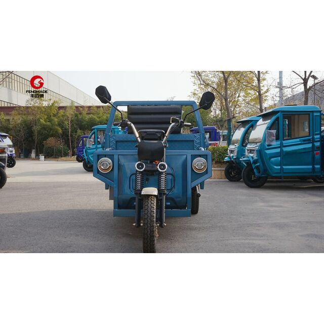 Dreirädriges elektrisches Lastenrad Elektro-Dreirad für Erwachsene