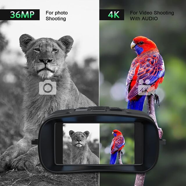 جهاز مناظير الرؤية الليلية الرقمية NVI800 بدقة 4K HD 850 نانومتر، رؤية ليلية بالأشعة تحت الحمراء، تكبير 6X، نظارات رؤية ليلية للصيد في الهواء الطلق، رؤية كاملة في الظلام، 300 متر