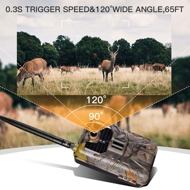 4G Wildkamera mit 64GB Speicher, 940nm Schwarze LEDs, Nachtsicht, SMS und MMS Versand