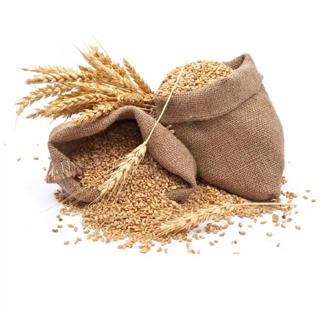 Gesüßtes Kondensmilchpulver Premium für Kondensmilch, Milchpulver, Milchtee, Kaffee, Bäckerei, Backwaren