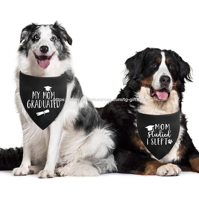 Schwarzes Hundehalstuch zur Abschlussfeier, Welpenschal, verstellbare Dreiecksform, doppellagiges, beidseitig tragbares Haustier-Bandana