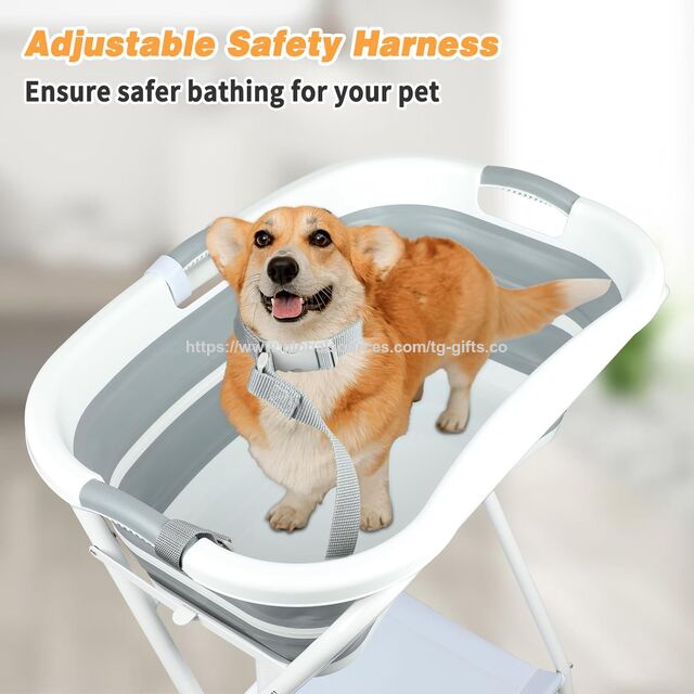 Baignoire Portable 2 en 1 pour Chien, Station de Lavage Pliable et Surélevée avec Trou de Drainage, Baignoire de Douche et de Toilettage pour Animaux de Compagnie