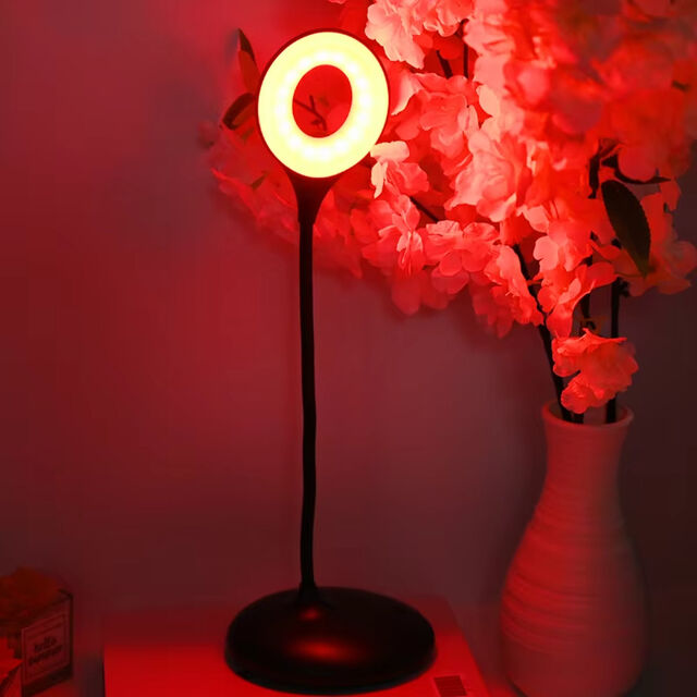 Nordic Modern Simple Adjustable LED Office Desk Lamp Study Light Usb Table Lamp Table Lighting