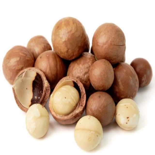 Nueces de Betel Secas / Nueces de Betel / Rodajas de Nuez de Betel a la Venta / Nueces de Betel Enteras y Partidas