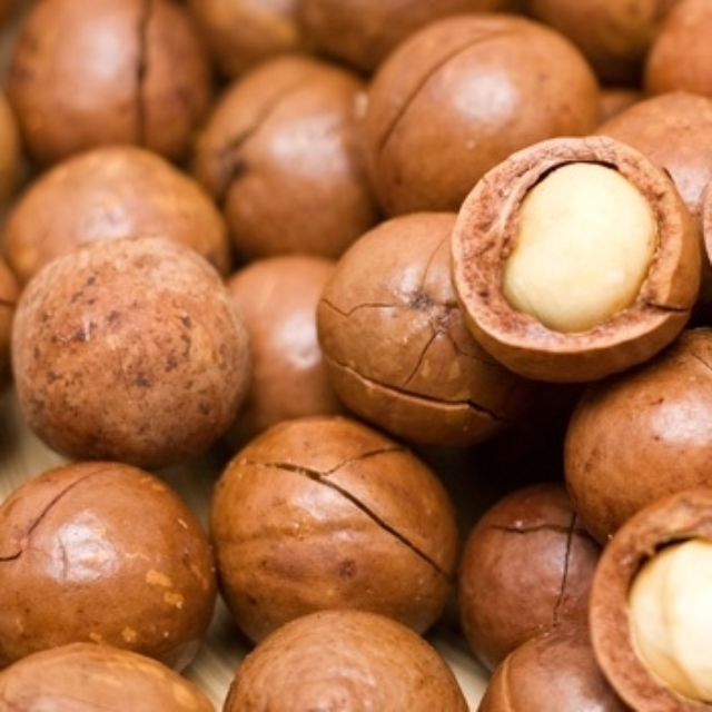 Nueces de Betel Secas / Nueces de Betel / Rodajas de Nuez de Betel a la Venta / Nueces de Betel Enteras y Partidas