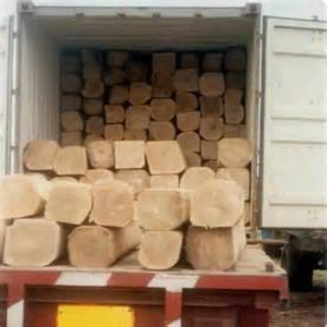Encomendar Lenha Seca em Estufa | Lenha Seca em Estufa Barata em Crate Grande | Toras de Carvalho Secas em Estufa