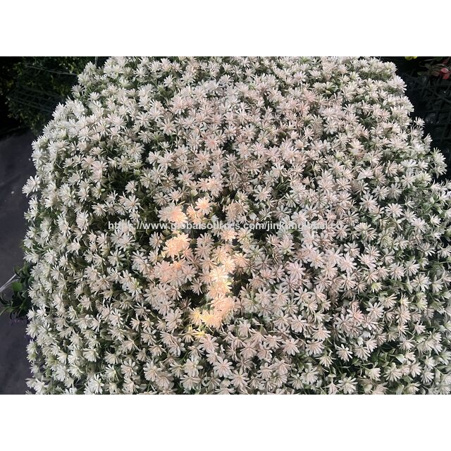 Fleurs artificielles adaptées aux parcs, murs de jardins et lieux de mariage, usages multiples