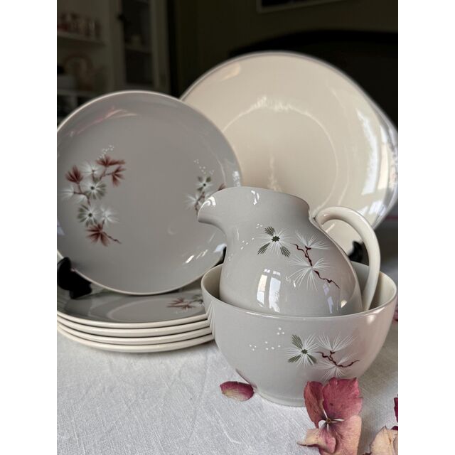 Ensemble de vaisselle, vaisselle, assiettes et bols, service de table, vaisselle de cuisine, vaisselle ménagère