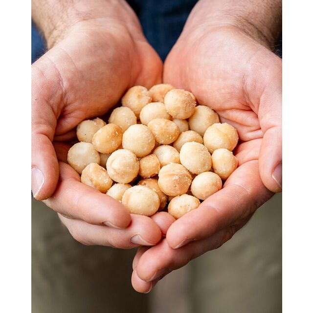 Nueces de Macadamia Naturales 22-25mm, Tamaño Grande, Llenas de Nutrientes, Suministro a Granel Perfecto para Hornear, Cocinar Snacks y Delicias Gourmet