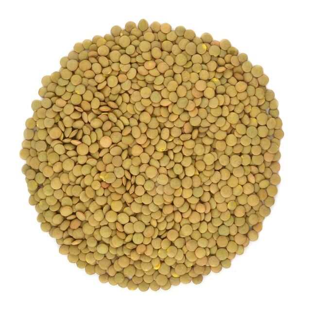 Lentilles Tous Types - Rouges, Vertes, Marrons, Jaunes - Lentilles Séchées en Gros - Lentilles Rouges en Gros - Haricots Lentilles en Vrac