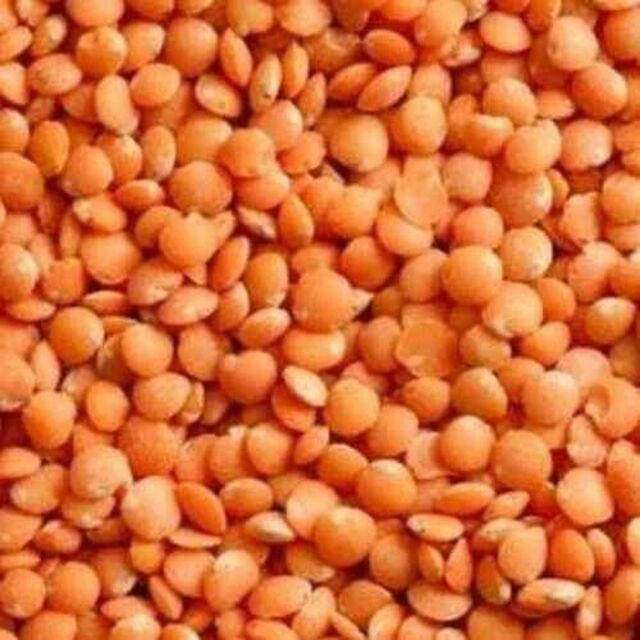 Lentilles Tous Types - Rouges, Vertes, Marrons, Jaunes - Lentilles Séchées en Gros - Lentilles Rouges en Gros - Haricots Lentilles en Vrac
