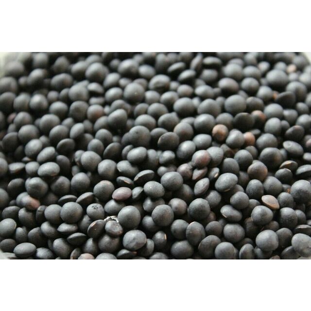 Lentilles Tous Types - Rouges, Vertes, Marrons, Jaunes - Lentilles Séchées en Gros - Lentilles Rouges en Gros - Haricots Lentilles en Vrac