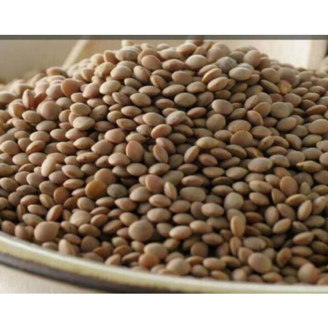 Lentilles Tous Types - Rouges, Vertes, Marrons, Jaunes - Lentilles Séchées en Gros - Lentilles Rouges en Gros - Haricots Lentilles en Vrac
