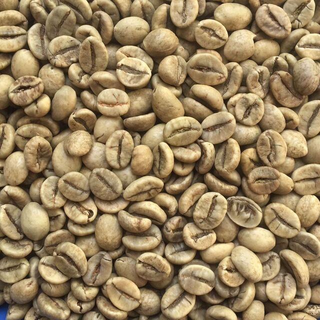 Grãos de Café Arábica de Boa Qualidade para Exportação - Entrega Rápida - Compre Café Premium