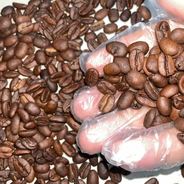 Grãos de Café Arábica de Boa Qualidade para Exportação - Entrega Rápida - Compre Café Premium