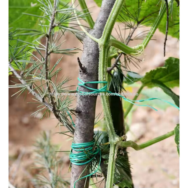 50m Attache-câble en fil de PE vert multifonctionnel et robuste pour jardin avec coupe-câble