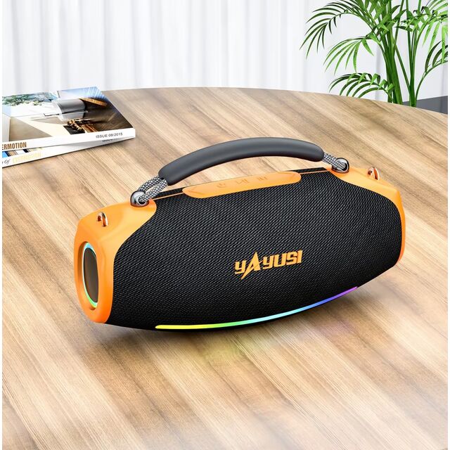 Grande Enceinte de Fête Subwoofer Extérieure 70W, Enceinte Bluetooth Portable Audio Haute Qualité Basses Puissantes H17