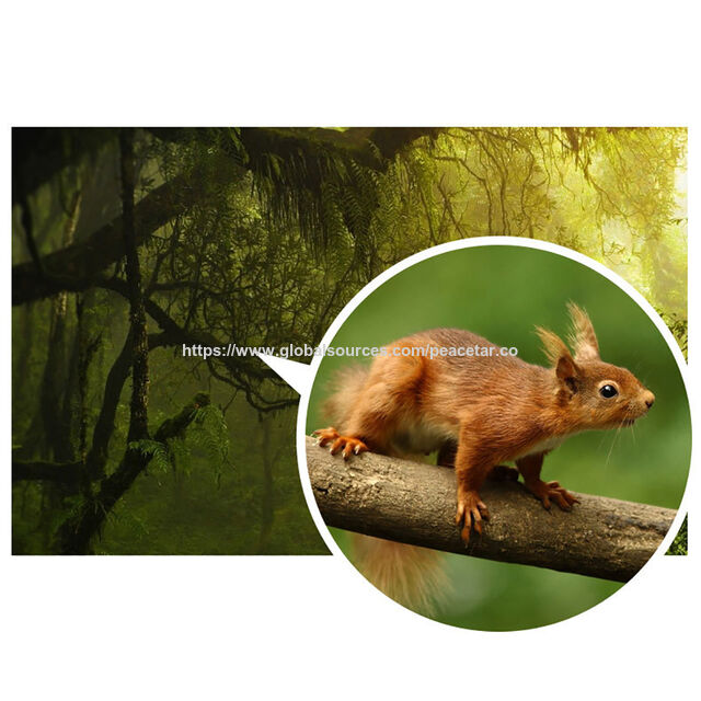 Telescopios monoculares para smartphone con trípode. Ampliación nítida de hasta 10-30X. Ideal para observación de aves, caza y eventos deportivos. Encuentra el mejor monocular aquí.