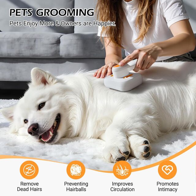 Brosse à Vapeur Rechargeable pour Animaux de Compagnie avec Pulvérisation de Brume Douce, Auto-nettoyante, 2 Vitesses pour Chiens, Chats, Lapins & Tous Types de Pelages