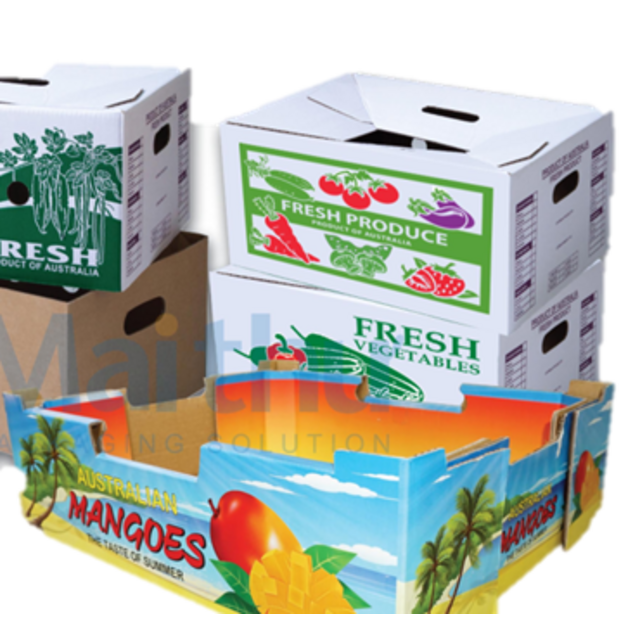 Kotak Kelapa - Pemasok Vietnam - Wadah Kelapa, Kotak Bergelombang
