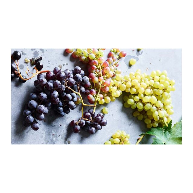 Offres de Raisins de Table Frais | Raisins Mélangés Sans Pépins à Vendre