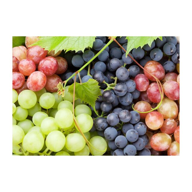 Offres de Raisins de Table Frais | Raisins Mélangés Sans Pépins à Vendre