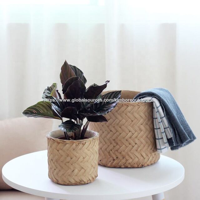 Pots de Fleurs Décoratifs en Ciment de Haute Qualité avec Design en Tissage de Bambou pour Intérieur et Extérieur, Décoration de Jardin et de Maison