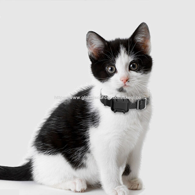 Rastreador GPS 4G Mini Impermeable para Mascotas 2022 con Collar - Cuidado de Mascotas