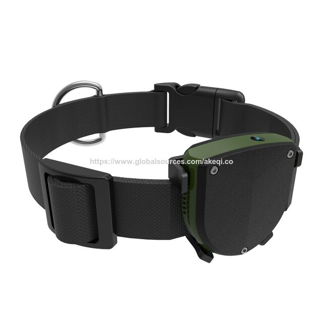 Fornecedor Profissional Novo Rastreador GPS à Prova d'Água para Cães e Gatos de Pequeno Porte com Mini Coleira