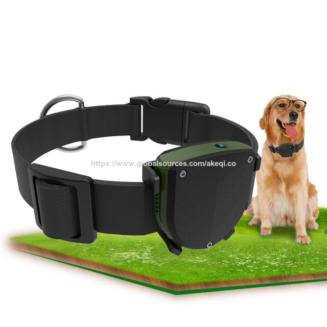 Fornecedor Profissional Novo Rastreador GPS à Prova d'Água para Cães e Gatos de Pequeno Porte com Mini Coleira