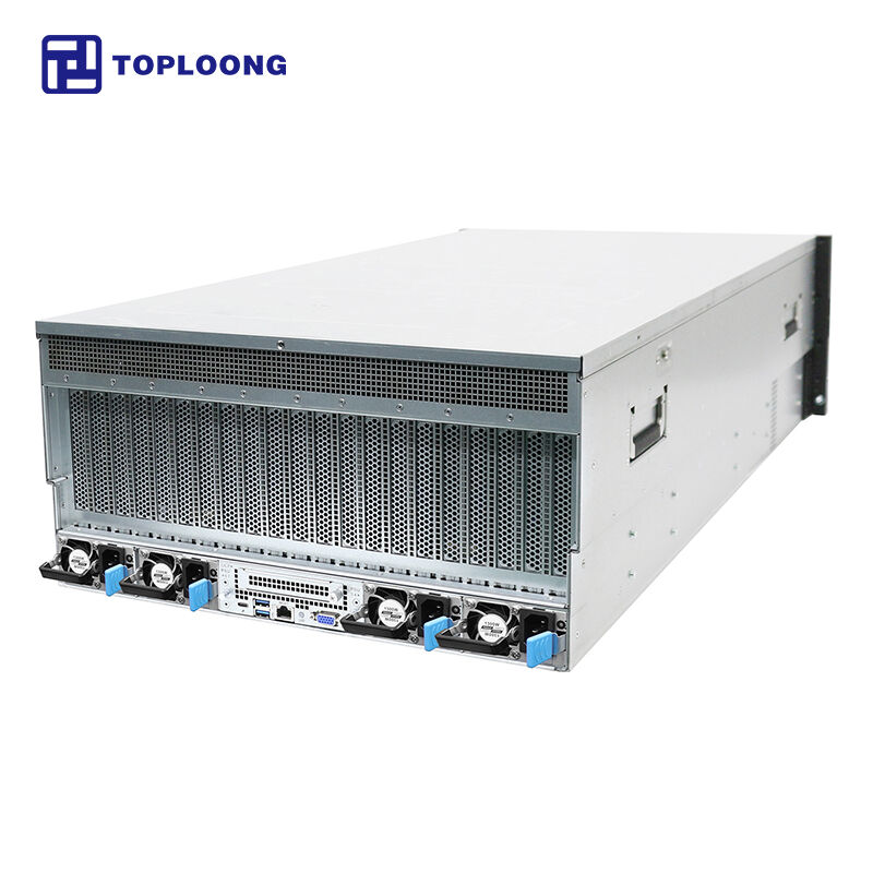 Toploong Customize 5u Dual Gen4/gen5 8 Gpu 4090/5090 Barebone Atx For ...