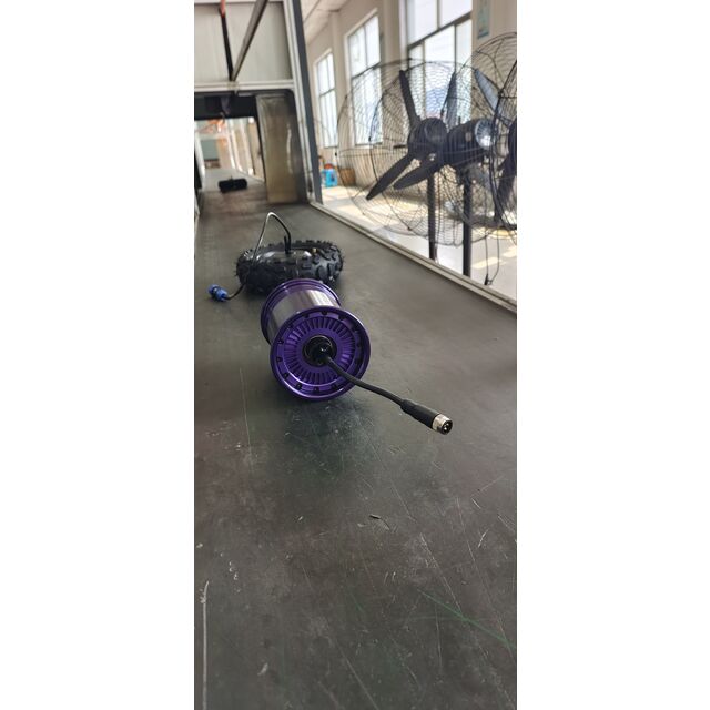 8" Electric scooter motor E-scooter motor Scooter motor In-wheel motor Brushless hub motor