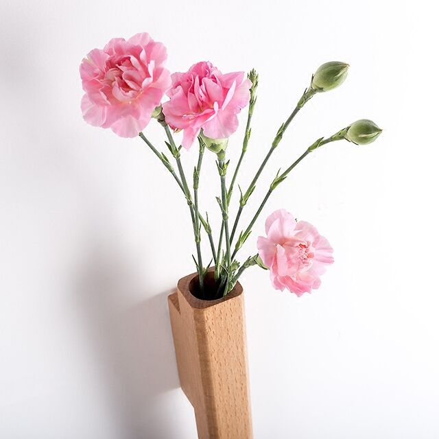 Vase Mural en Bois Style Japonais, Minimaliste, Mural, pour Fleurs, Hydroponique, Décoration de Salon et Chambre à Coucher