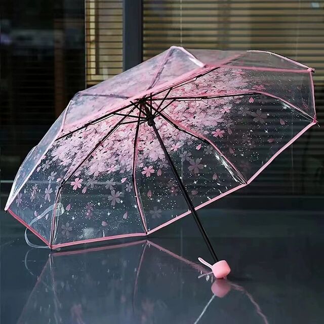 Transparent Umbrella, Student Triple Fold Umbrella, Long Handle Umbrella, Personalized Artistic Umbrella