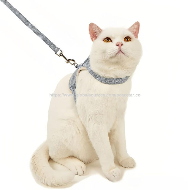 Coleira Peitoral Ajustável para Animais de Estimação e Conjunto de Guia de 120 cm. Para Animais de Pequeno Porte (Gatinho e Filhote). Tamanho P-M.