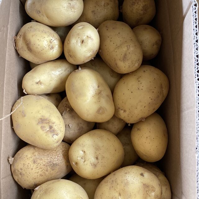 Fornecimento direto da fábrica de batatas frescas, preço por tonelada e preço de mercado de batata doce fresca.