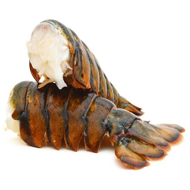 Langosta Fresca de Agua Dulce / Camarones Frescos Langosta Congelada / Cola de Langosta Congelada en Venta a Buen Precio