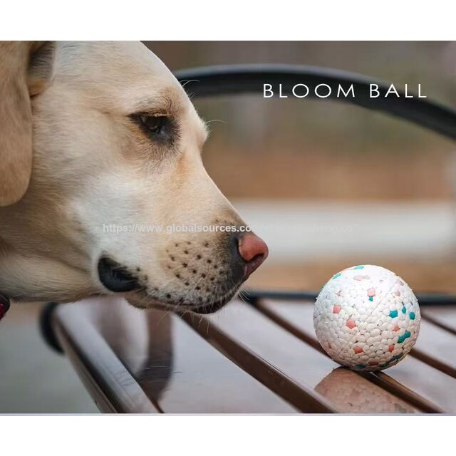 Bola ETPU para Pet de 7.5cm, Alta Elasticidade, Resistente à Mordida, Flutuante, para Cães, Buscar & Treinamento