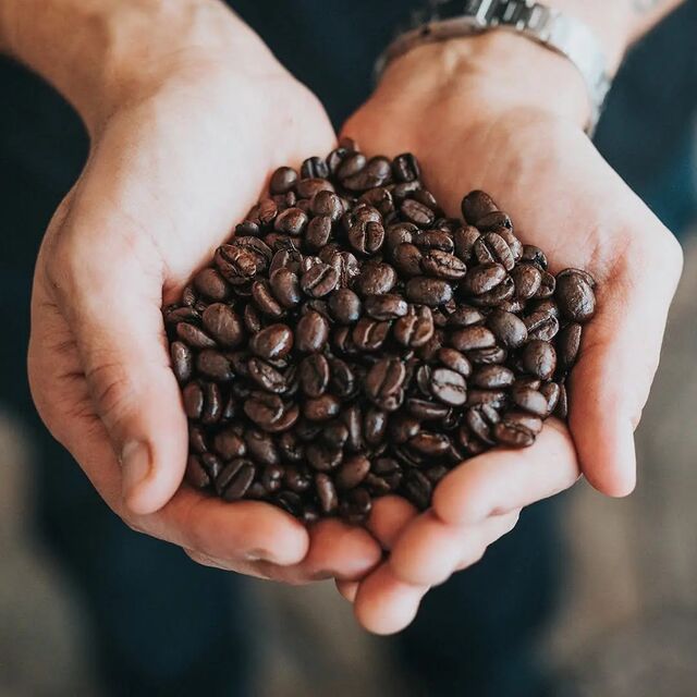 Granos de Café Arábica Robusta Orgánicos Premium Baratos - Tueste Oscuro Amargo de Alta Calidad, Sabor Fresco, Sellado al Vacío de Grado Superior