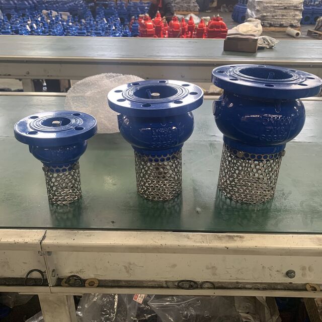 Válvula de Pé de Ferro Dúctil de Baixo Preço Atacado de Fábrica ODM/OEM/OBM para Água