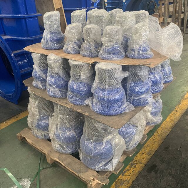 Válvula de Pé de Ferro Dúctil de Baixo Preço Atacado de Fábrica ODM/OEM/OBM para Água
