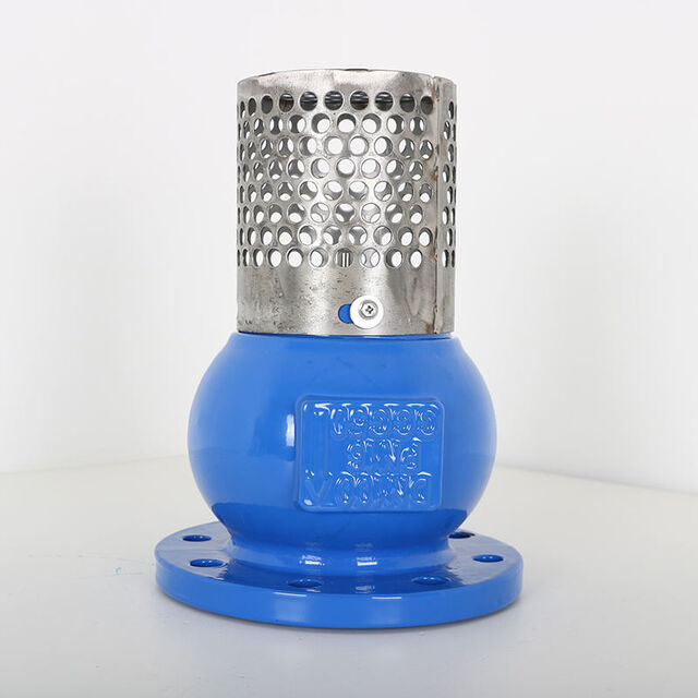 Válvula de Pé de Ferro Dúctil de Baixo Preço Atacado de Fábrica ODM/OEM/OBM para Água