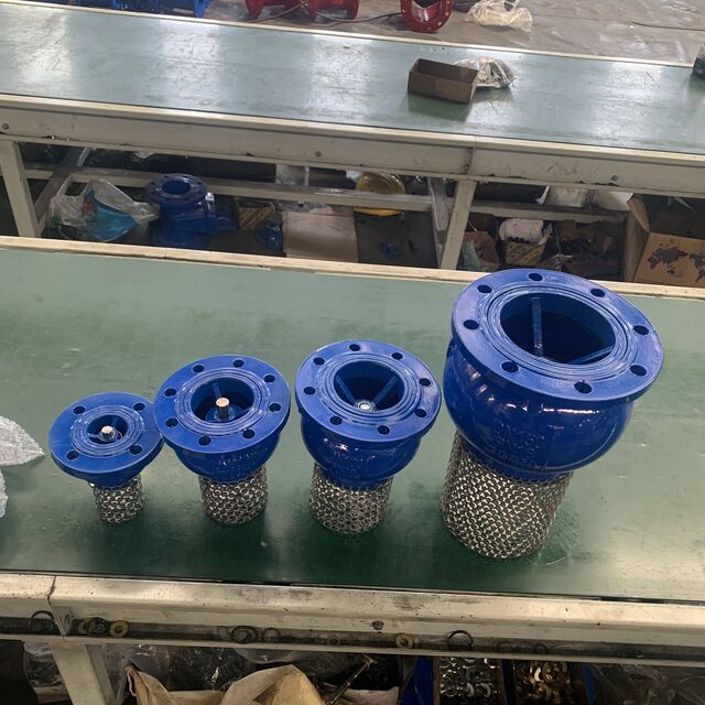 Válvula de Pé de Ferro Dúctil de Baixo Preço Atacado de Fábrica ODM/OEM/OBM para Água
