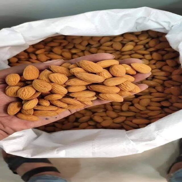 Super Grade 1 Fourniture en Gros Rôtie Cuite Séchée Naturelle Sans OGM pour Usage Alimentaire Agricole - 10kg