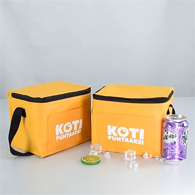 Sac Isotherme Réutilisable avec Logo Personnalisé, Petit Format, 6 Canettes, Sac à Déjeuner Isolé Non Tissé