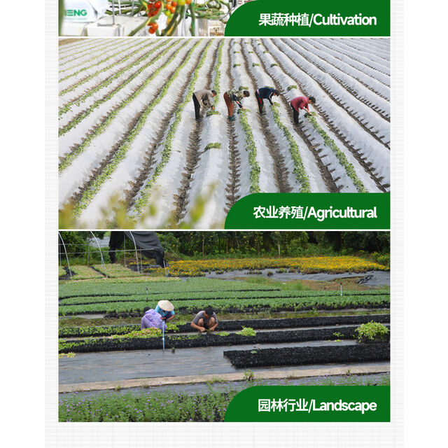 Rede de Escalada para Plantas, Grade de Flores para Horticultura, Rede para Pendurar Mudas de Pepino, Rede para Trepadeiras
