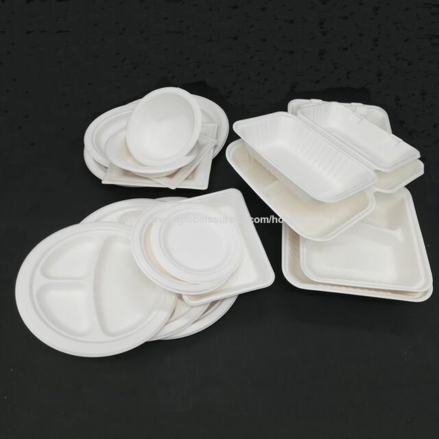 Barquette Biodégradable / Compostable en Bagasse 23x13cm (9"*5"), 20g