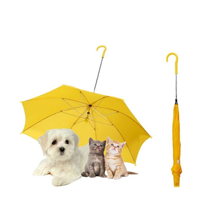 Paraguas Invertido Impermeable Pequeño para Perro