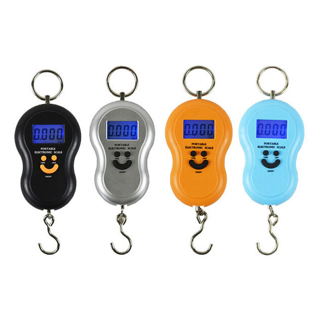 Balance Électronique Portable à Main, 50kg/10g, Balance Numérique pour Bagages