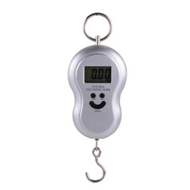 Balance Électronique Portable à Main, 50kg/10g, Balance Numérique pour Bagages